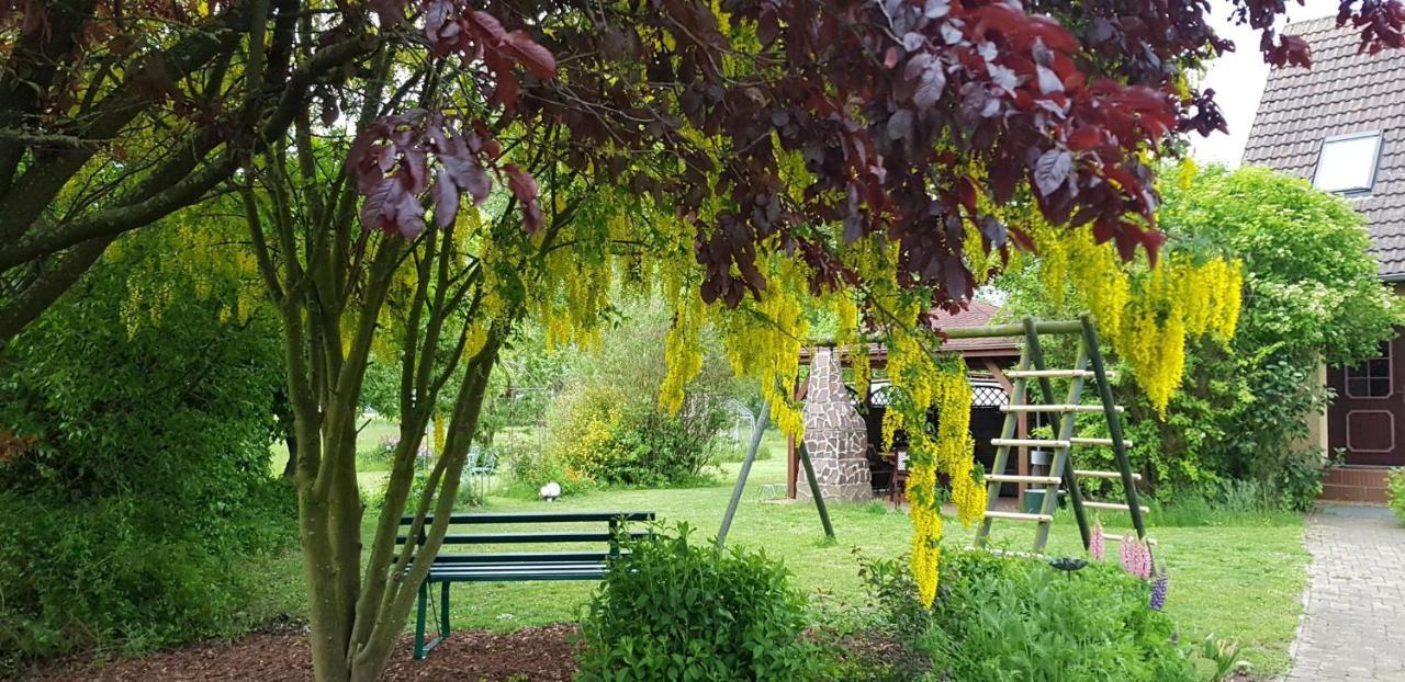 Apartament Insel-Idyll Sonnenschein Wyspa Poel Zewnętrze zdjęcie
